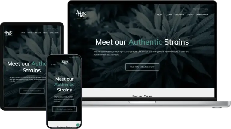 haxa website mockup design